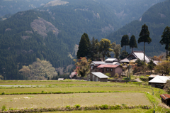 里山景色