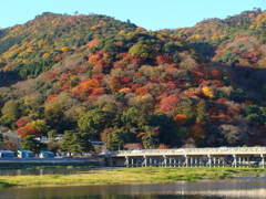 そうだ京都へ行こう
