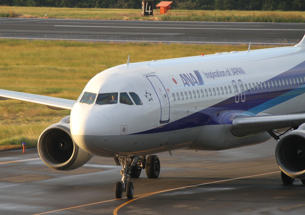 夕暮れ時は寂しそうA320