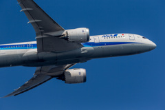 たまには羽田へ