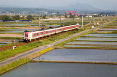 田植えとやくも