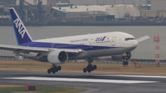 普通の綺麗な着陸でした。