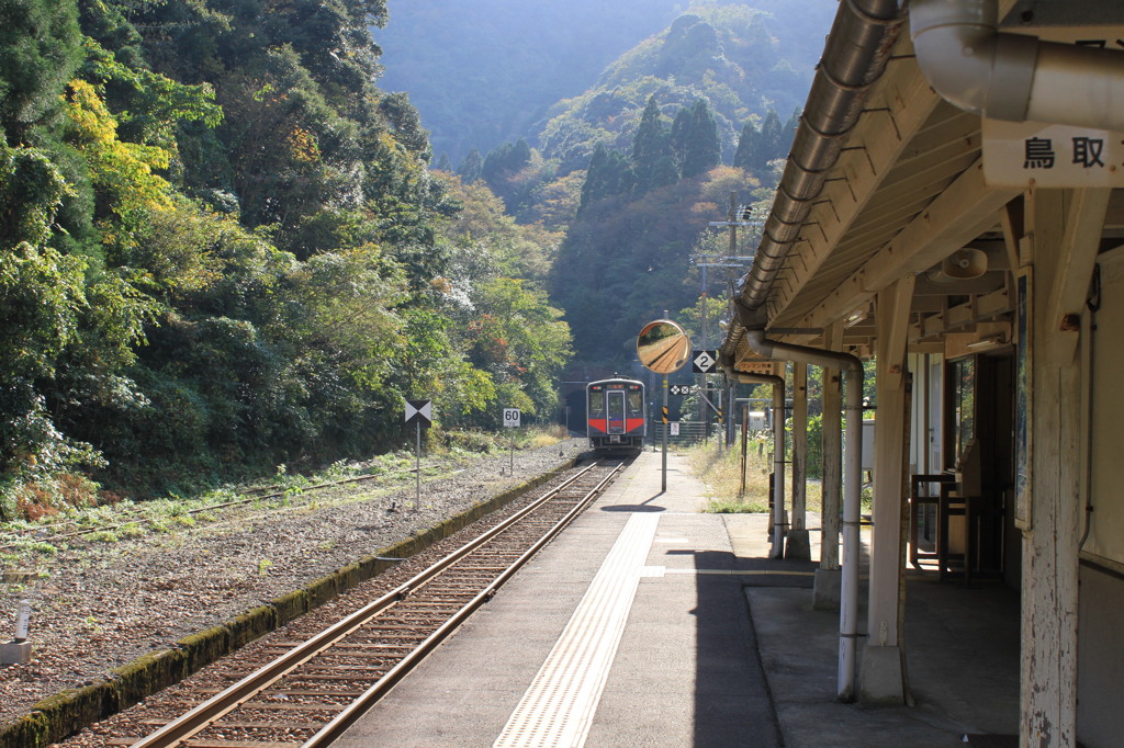 煙を吐いてトンネルに入るディーゼル車列車