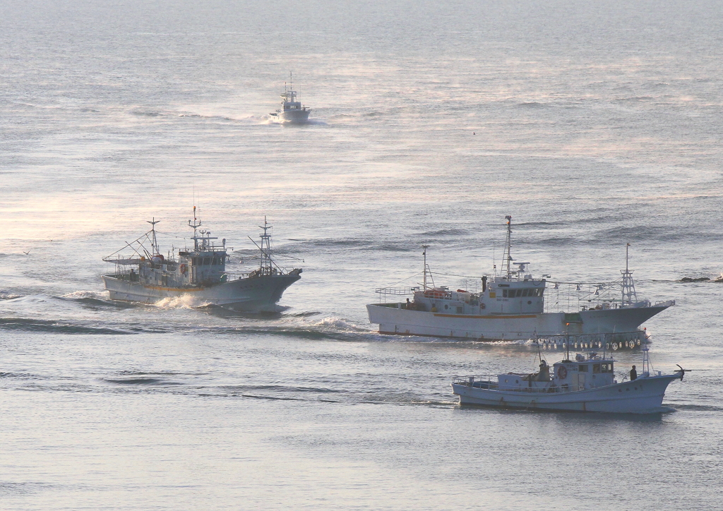 イカ釣り船帰港