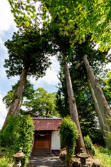 富士山　白糸の滝