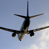 銀鱗（B737のおなか）