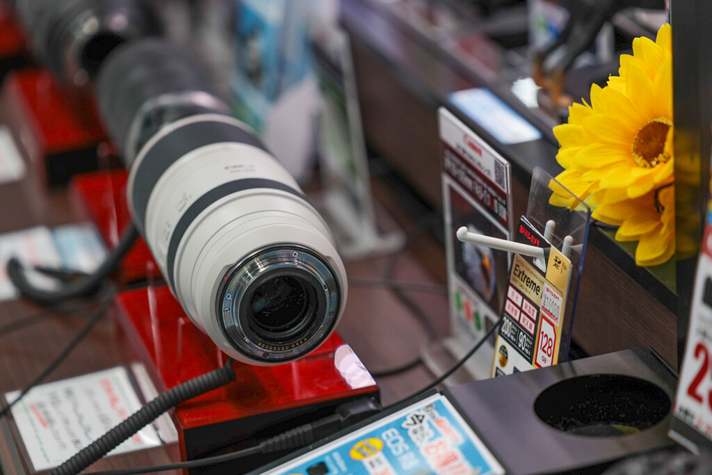 R6-Ⅱは綺麗に撮れますね