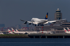 羽田空港　B747-8