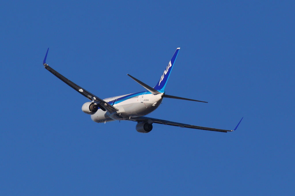 ANA737