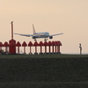 アンテナにトンビが…夕暮れ時の７６７