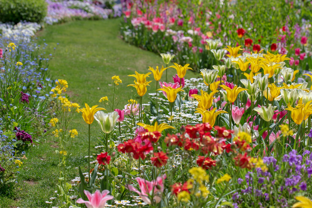 実（みのり）の春