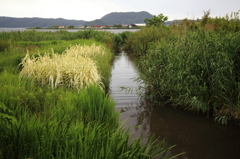 小川