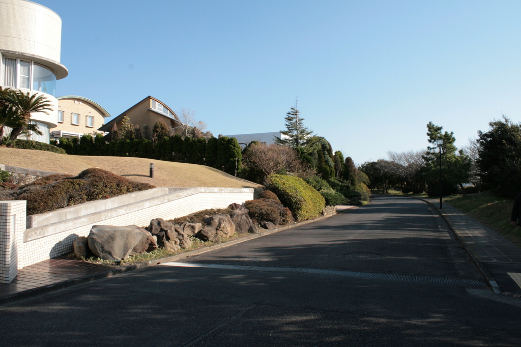 披露山の風景