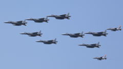 豪華な編隊飛行2