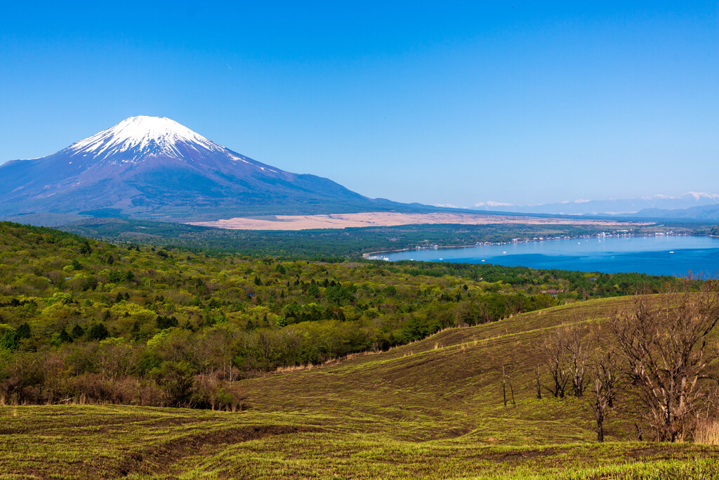 GWの富士山　２