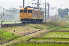 田植え中でした