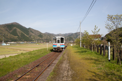 若桜隼駅、草のプラットホーム　