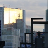 金曜の日本橋～銀座