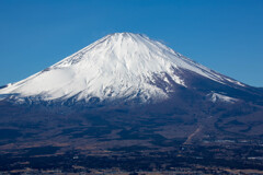 足柄山からの富士山冬景色