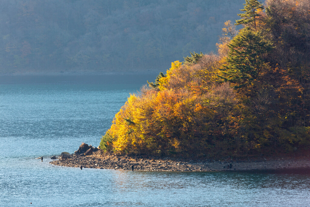 釣り天国　本栖湖　山梨県