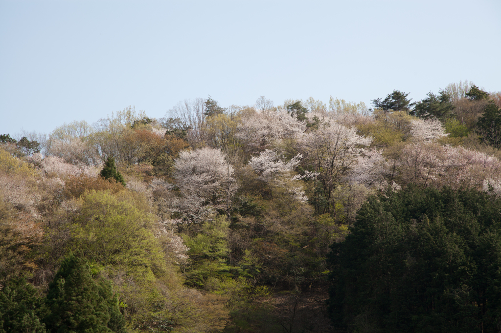 里山景色