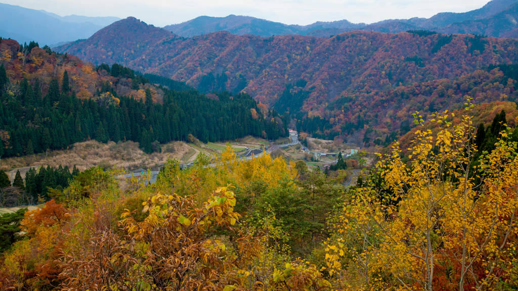 鳥取山奥の日没前