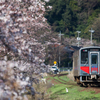 大岩駅、桜と汽車