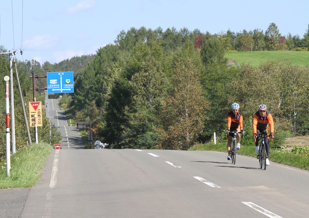 富良野の農免道路