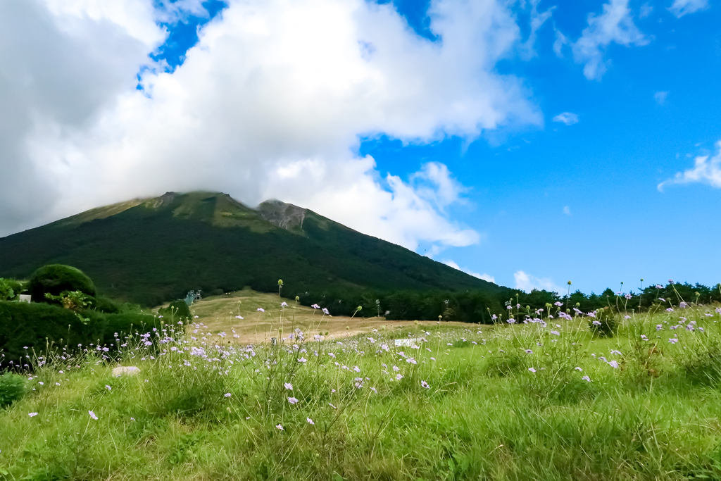 大山　桝水原