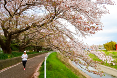 境川　横浜