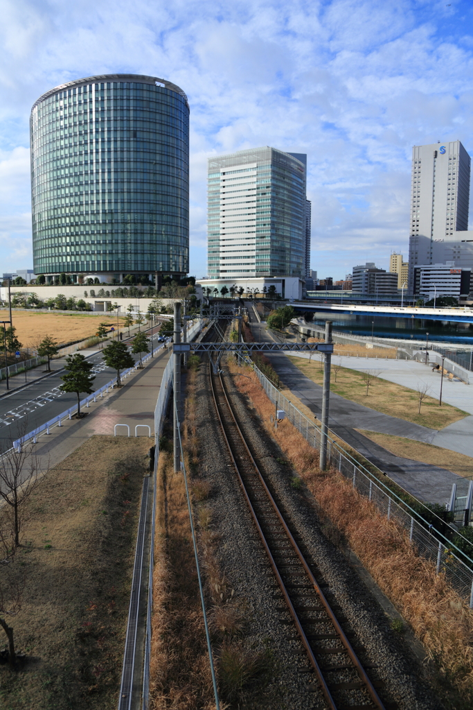 意外と鉄分が