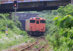 山陰本線桃観トンネル手前