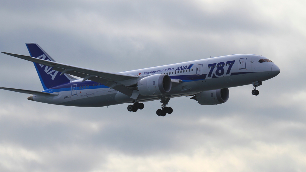 ANA 787