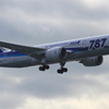 ANA 787