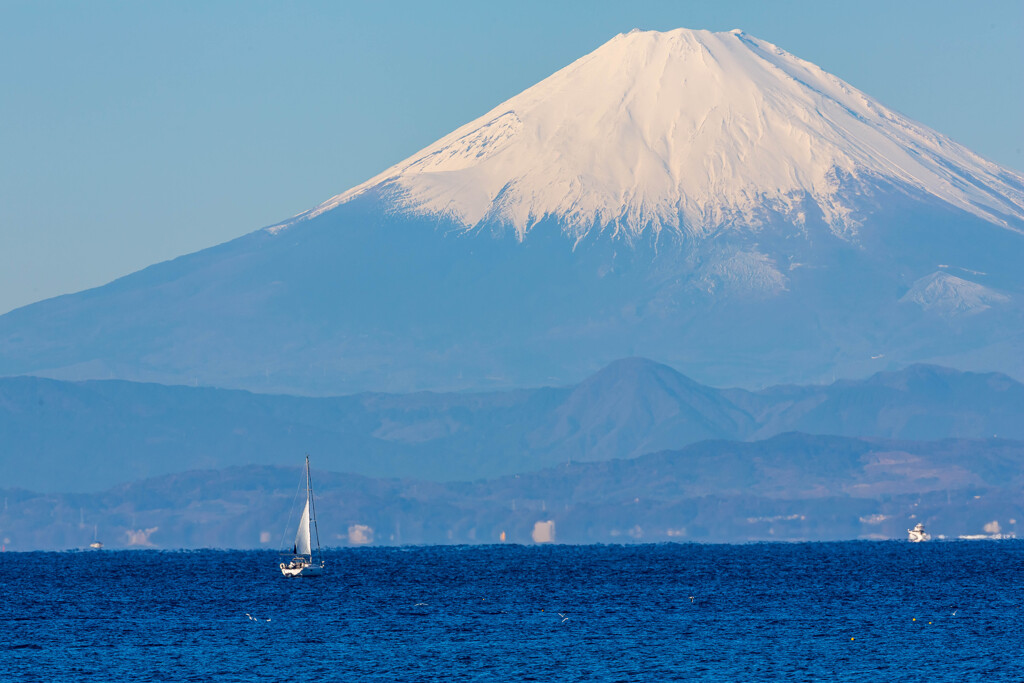 葉山の富士山