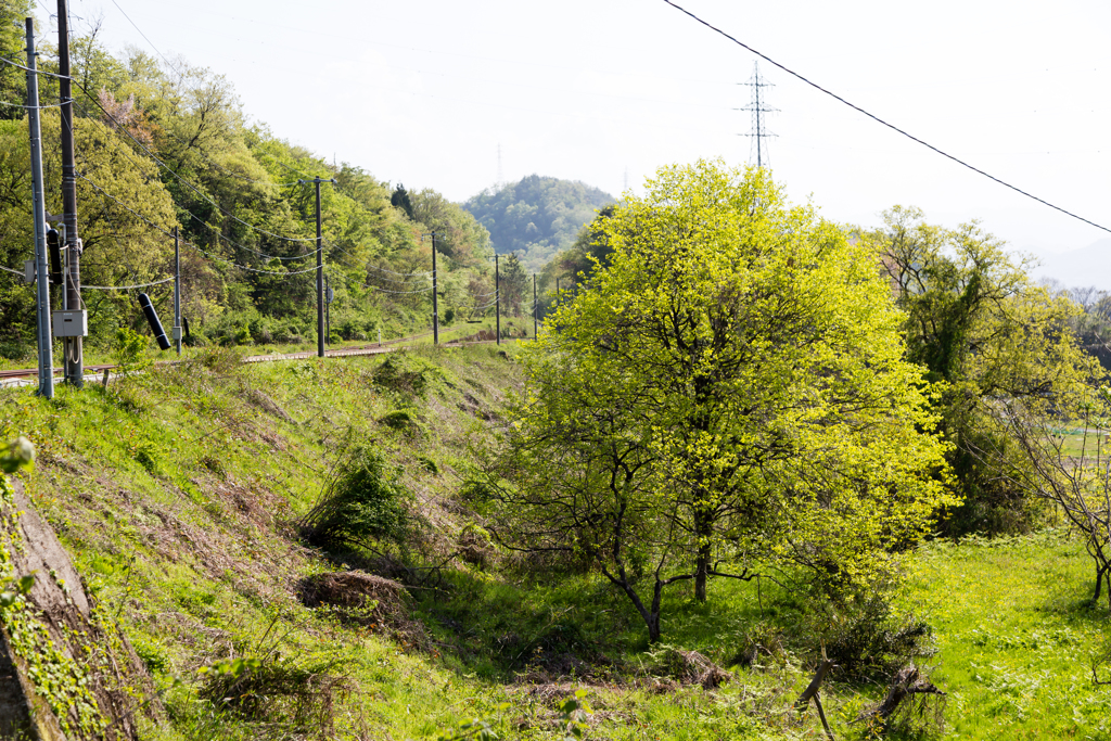 福部ー鳥取里山