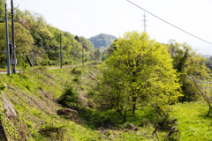 福部ー鳥取里山