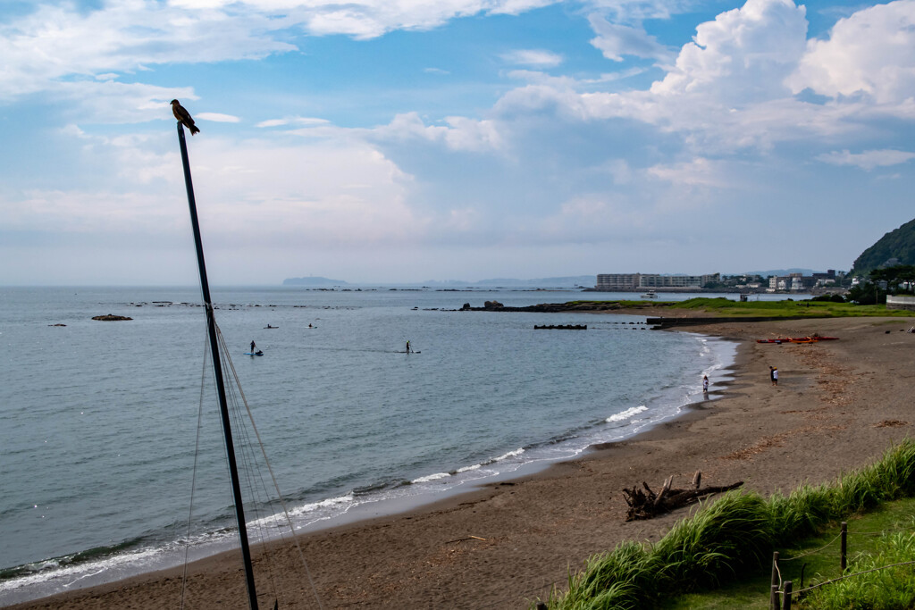葉山一色海岸