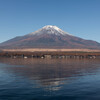 富士山　雪と紅葉