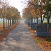 ミュンヘンの航空公園２