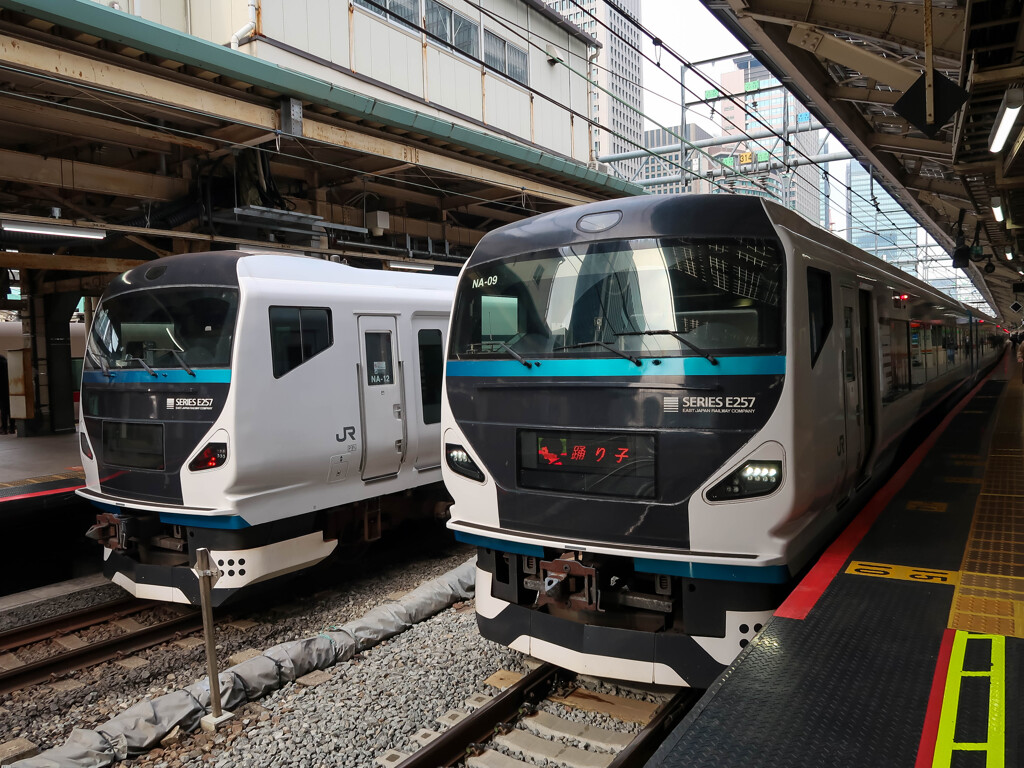 東京駅見物