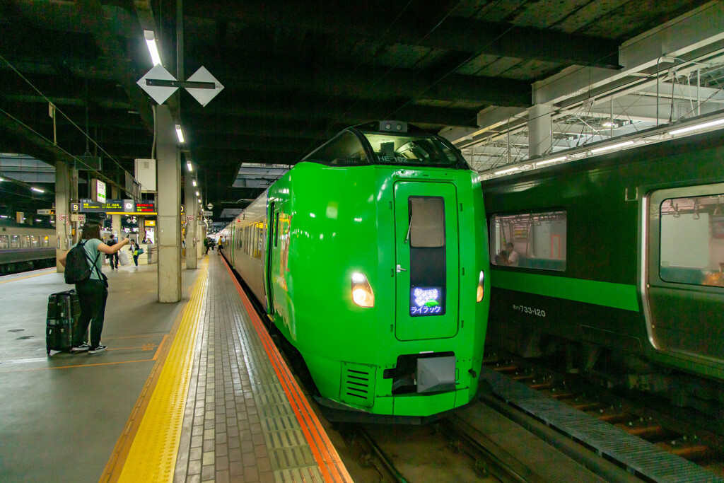 ライラック