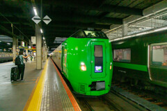 ライラック