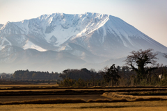 朝もやの大山