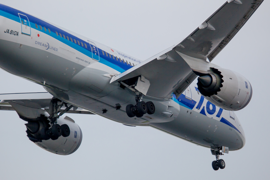 ７８７（羽田B滑走路）