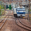 貨物駅入れ替え