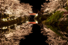 鹿野城の夜桜１
