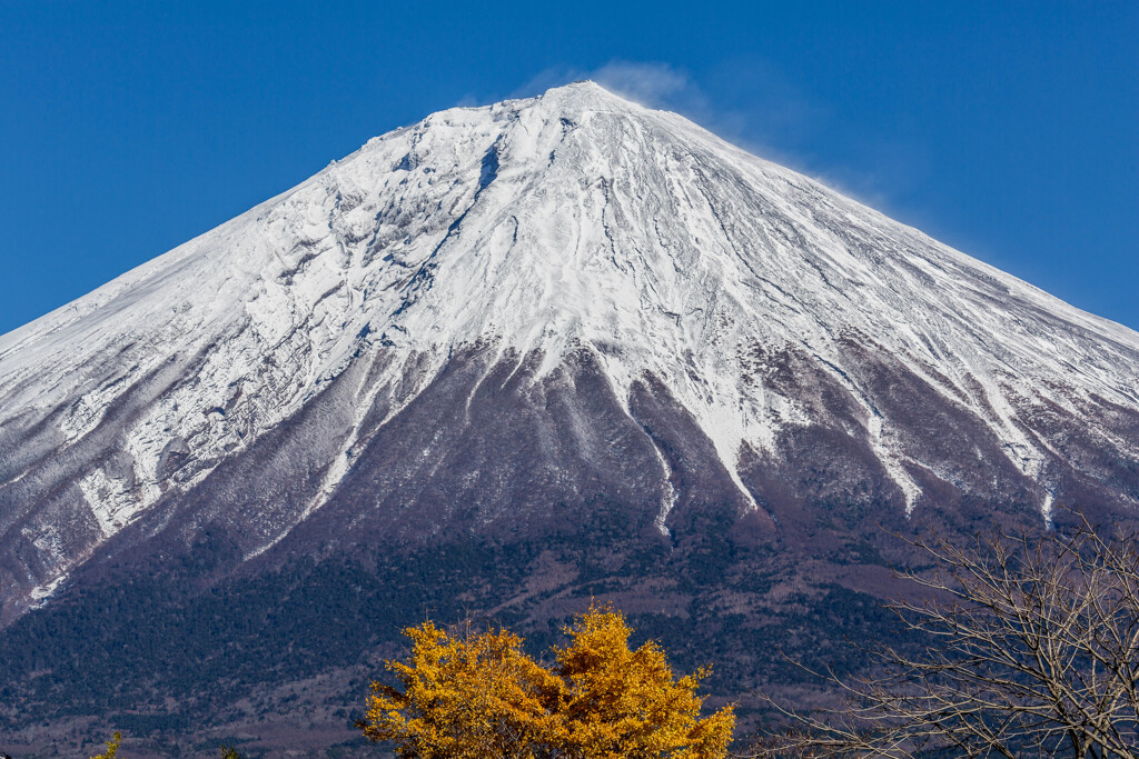 富士山　20251128