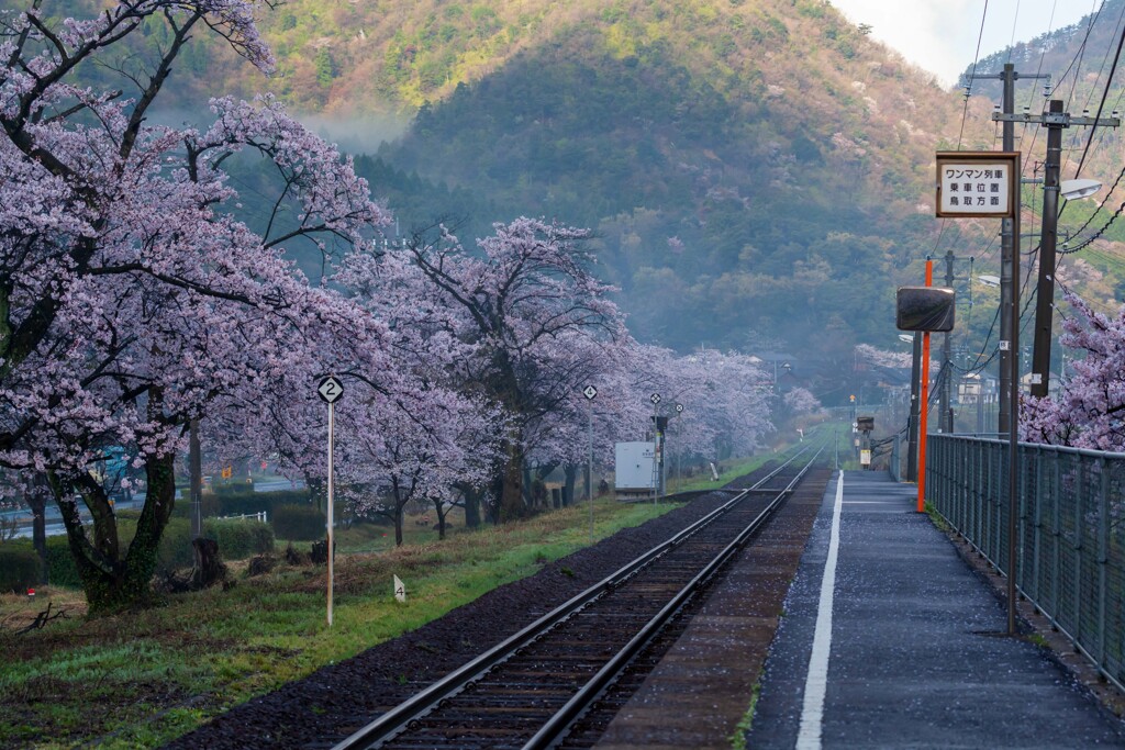 鳥取大岩駅