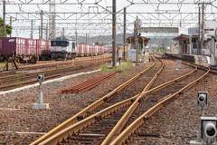 伯耆大山駅、運休でレールが錆びています。
